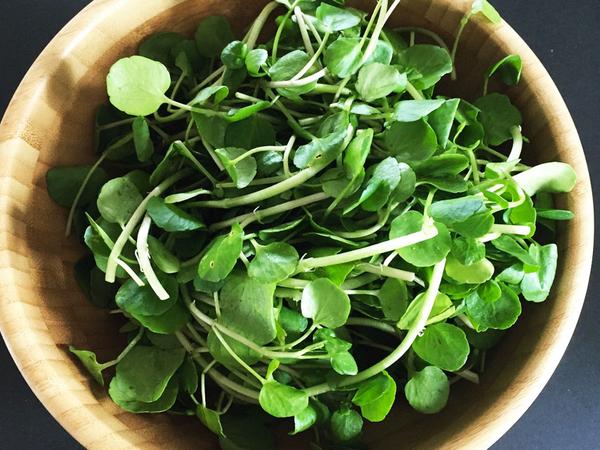 Touffé Cresson (Sauteed Watercress with Potato) — photo 3