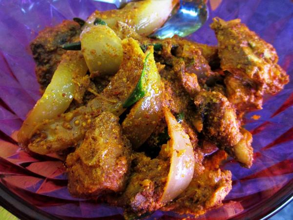 Octopus Vindaye (Vindaye Ourite) — photo 4