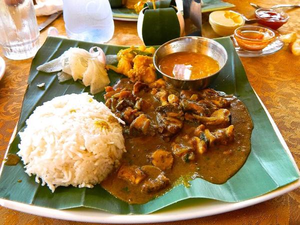 Octopus Curry — photo 3