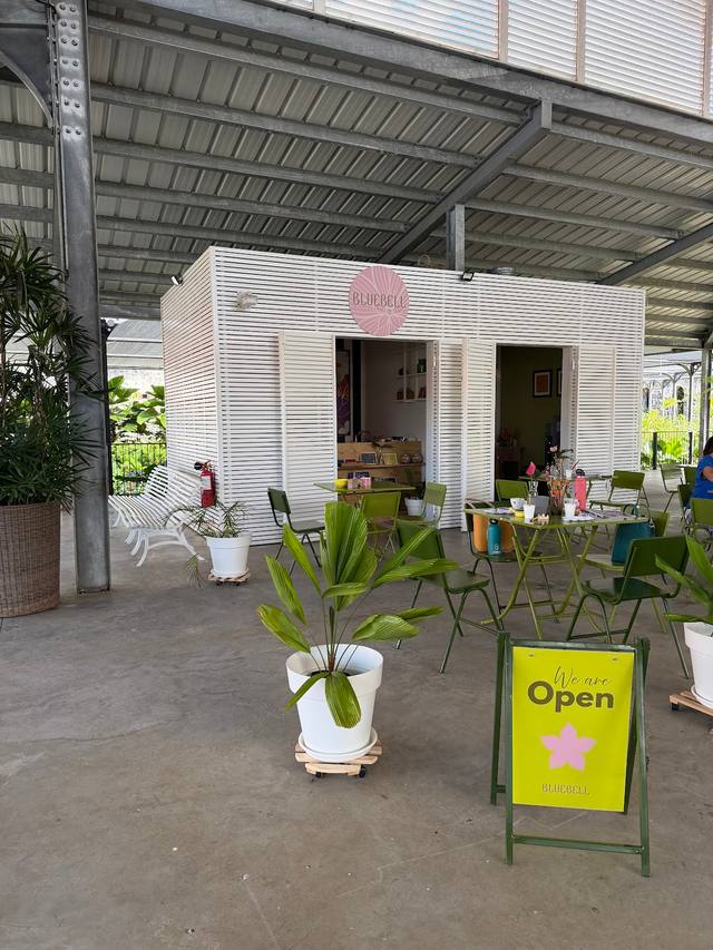 Bluebell Pottery Painting Café in Mapou