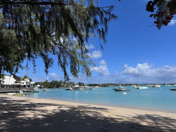 Fleur de mer, Grand Baie