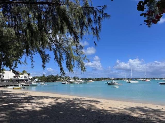 Fleur de mer in Grand Baie