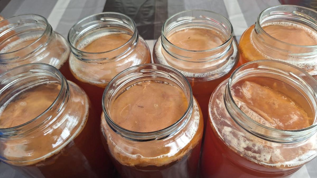 Mama Kombucha