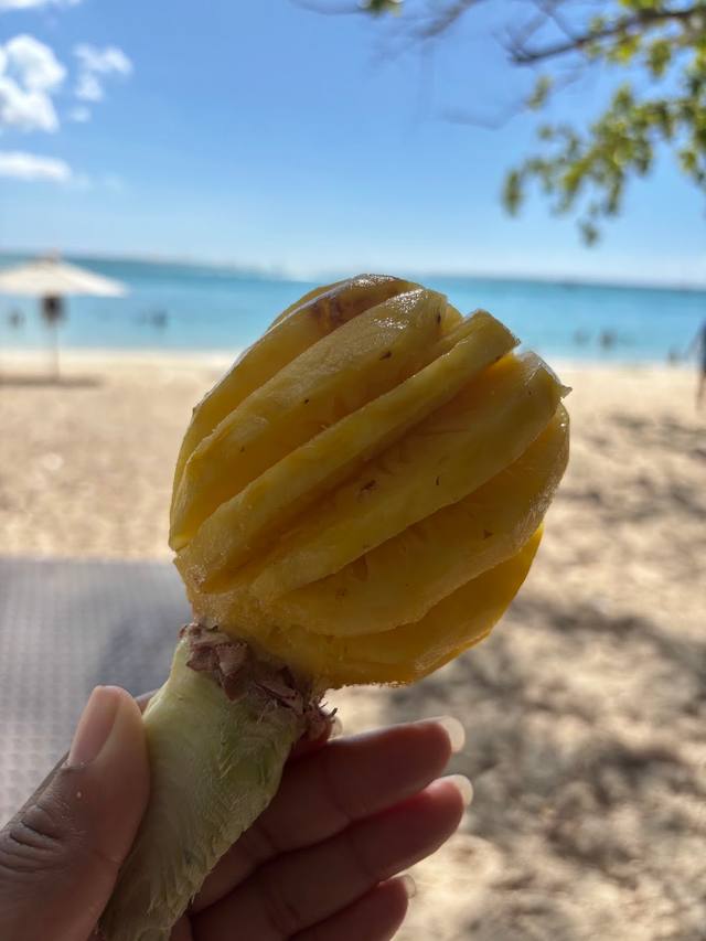 The fruit palace in Grand Baie
