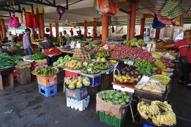 GROS MARAZ in Mahebourg