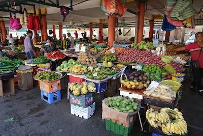 GROS MARAZ in Mahebourg