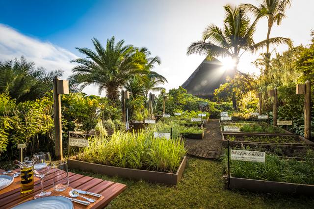 The Herb Trail in Balaclava